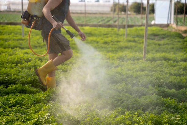 Best Exterminator Services  in Cabot, AR