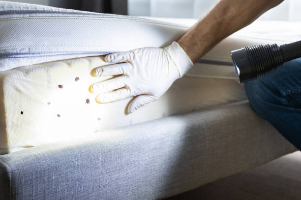 Best Best Pest Control Companies  in Cabot, AR