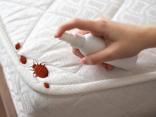 Pest Control Cost in Cabot, AR