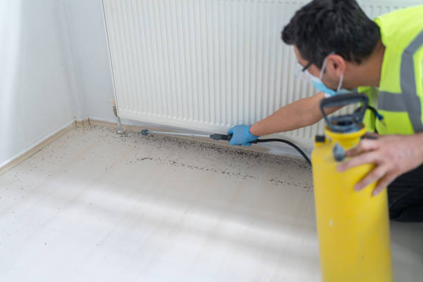 Best Flea Control Services  in Cabot, AR